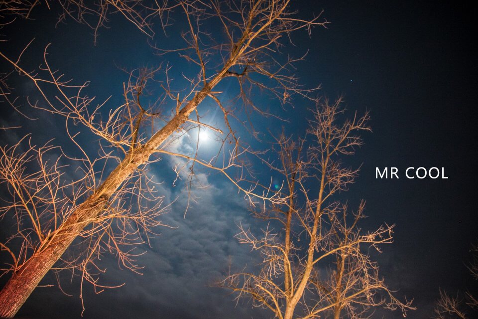 瑞安马屿曹村田园视频,瑞安马屿曹村田园风景图