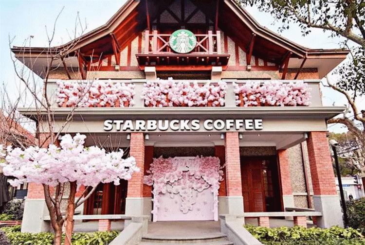 魔都赏樱打卡地,不止星