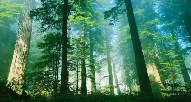 被央视通报过的奶粉品牌,被央视点名的网红奶茶