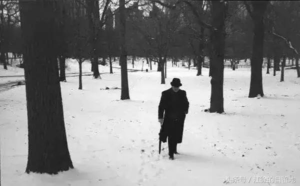 木心有一句话说得特别好,木心说句心里话