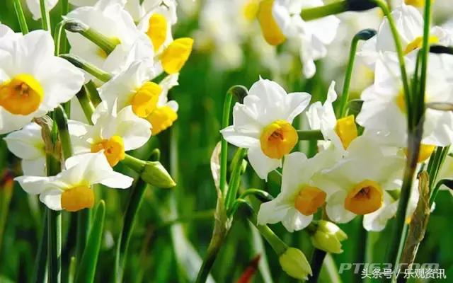 福州特产伴手礼哪里有卖的,福州有哪些可以送礼的干货特产