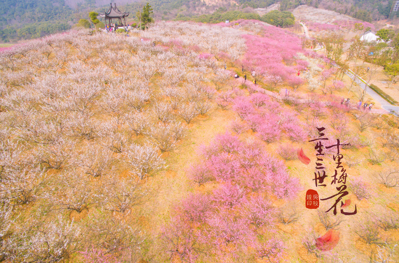 三生三世，十里梅花，遇见张家港