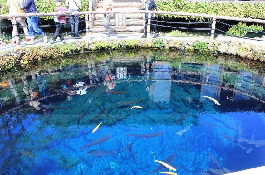富士芝樱祭自由行热门攻略,富士山浅间神社三日游