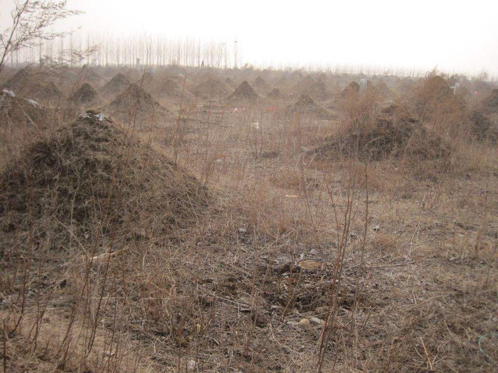 路过坟地第二天感冒了,路过坟地回家发烧怎么回事