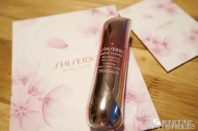 最美樱花季粉色海洋,春季哪里樱花最美最好看