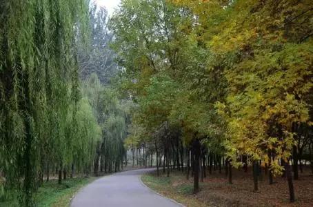 盘点北京38个森林公园,定个小目标完整版免费
