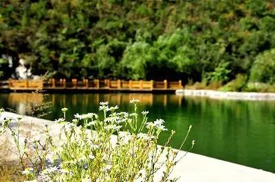 盘点北京38个森林公园,定个小目标完整版免费