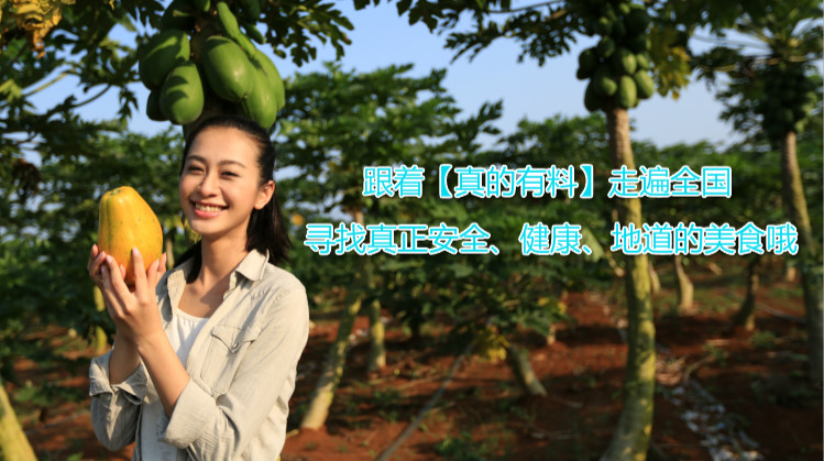 贵妃芒是酸芒果吗,芒果好吃还是贵妃芒