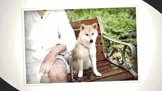 最新*拍偷**神器上线，操作只需要对她抛个媚眼