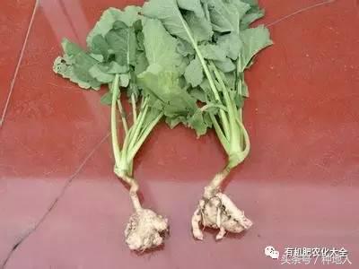 拿什么拯救你的成绩,拿什么拯救废了的你