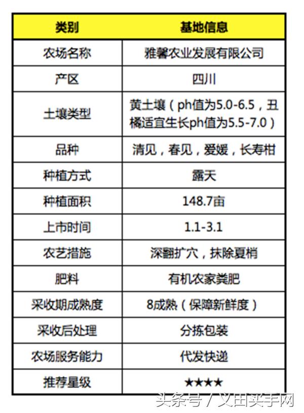 大型丑橘基地,稳坪何家寨丑橘基地