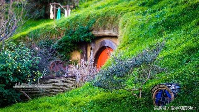 新西兰留学优缺点,英国和新西兰留学哪个好