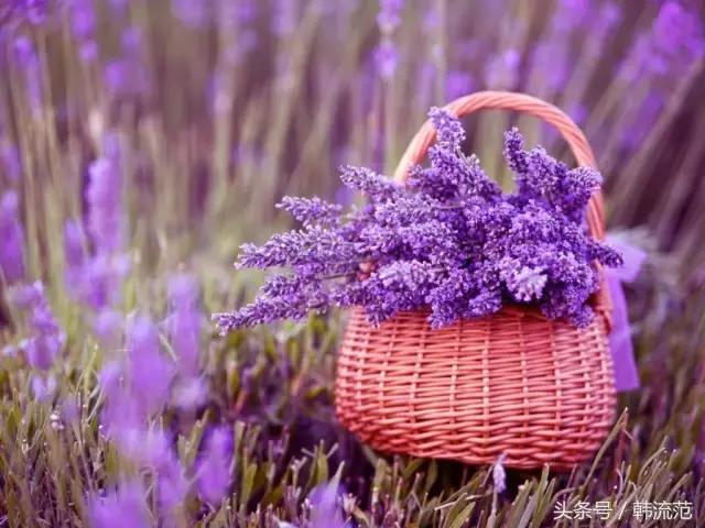 祛痘印橡皮擦,痘印橡皮擦哪个好用