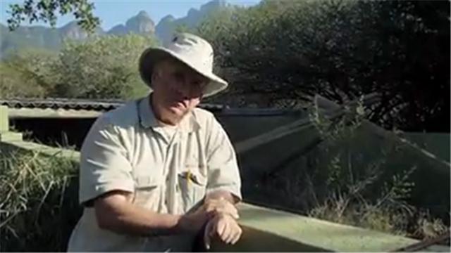 蜜獾平头哥日记,平头哥蜜獾越狱动画