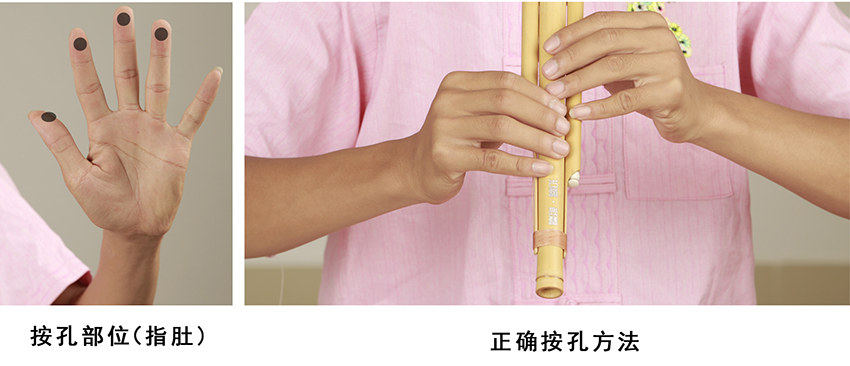 葫芦丝指法1234567,阿里山的姑娘葫芦丝教指法