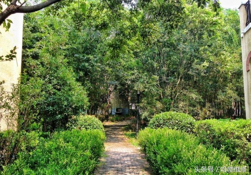 3月20日苹果报价看看昔日机皇的拍照表现