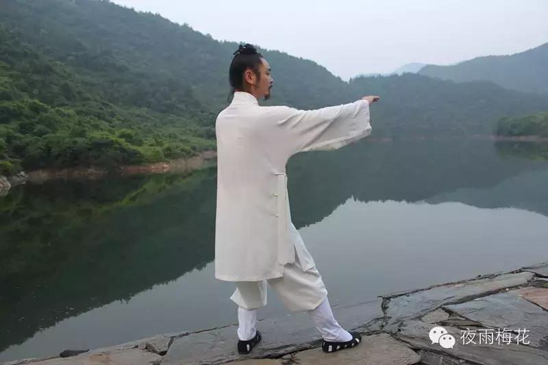 武当太极陈师宇,武当太极十三式陈师宇