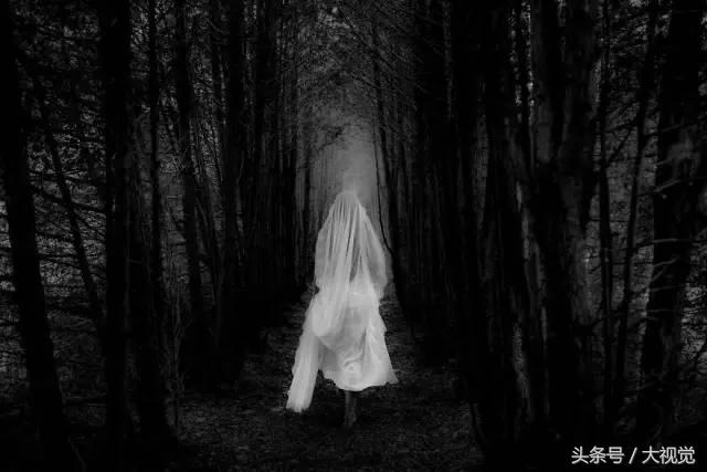 50张全球最美婚纱照,50张婚纱摄影作品集