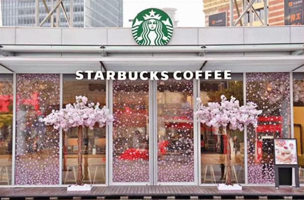 魔都赏樱打卡地,不止星