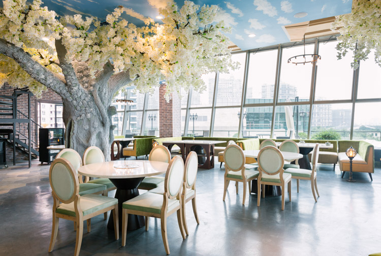 魔都赏樱打卡地,不止星