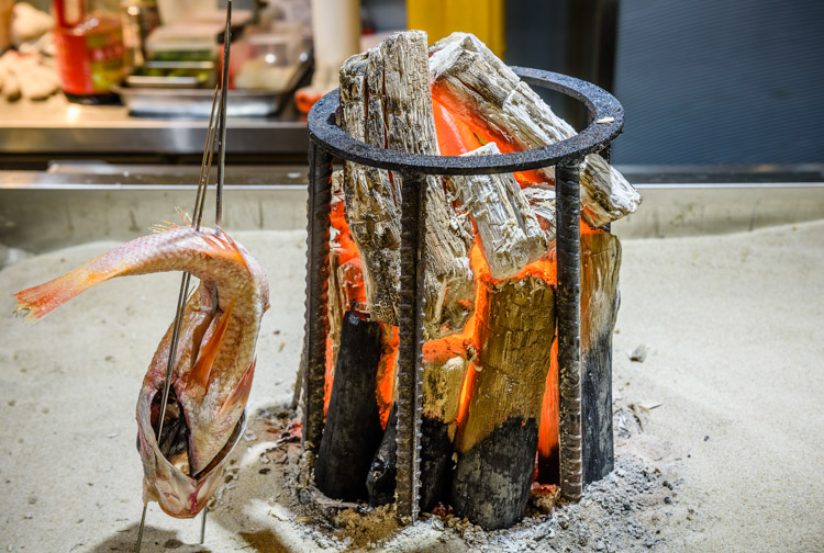 魔都赏樱打卡地,不止星