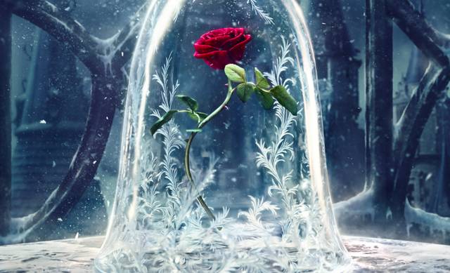 美女与野兽｜天生法令纹只能靠整容吗？那是因为你没看这篇！