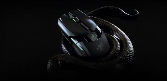 雷蛇八大歧蛇测评,雷蛇和绿蛇