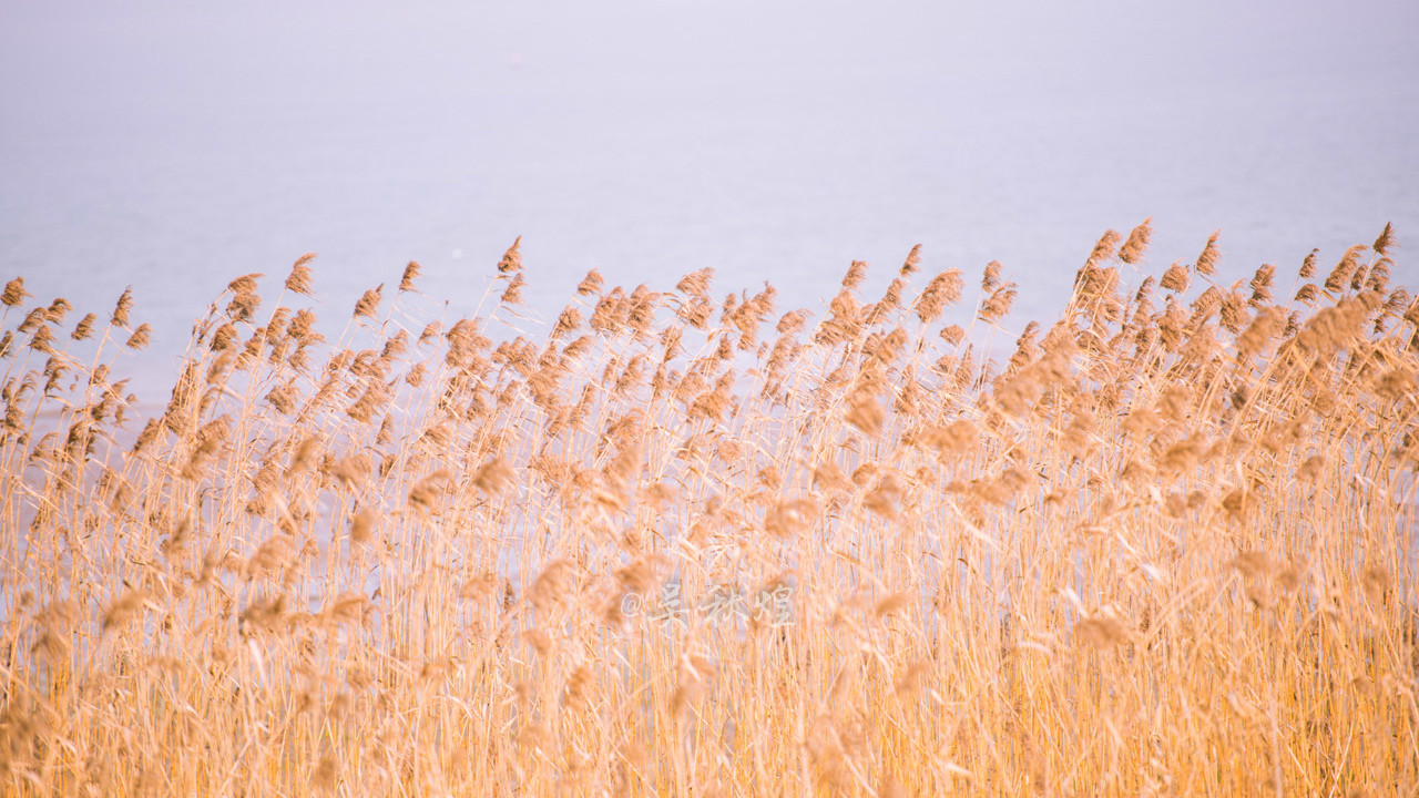 三生三世，十里梅花，遇见张家港