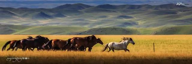 *疆新**，其实并不遥远（4）