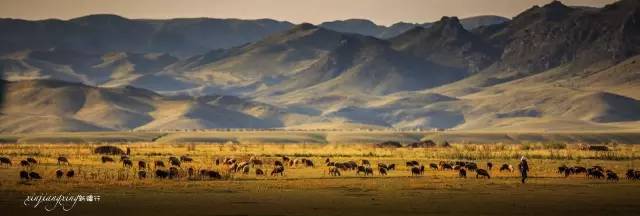 *疆新**，其实并不遥远（4）