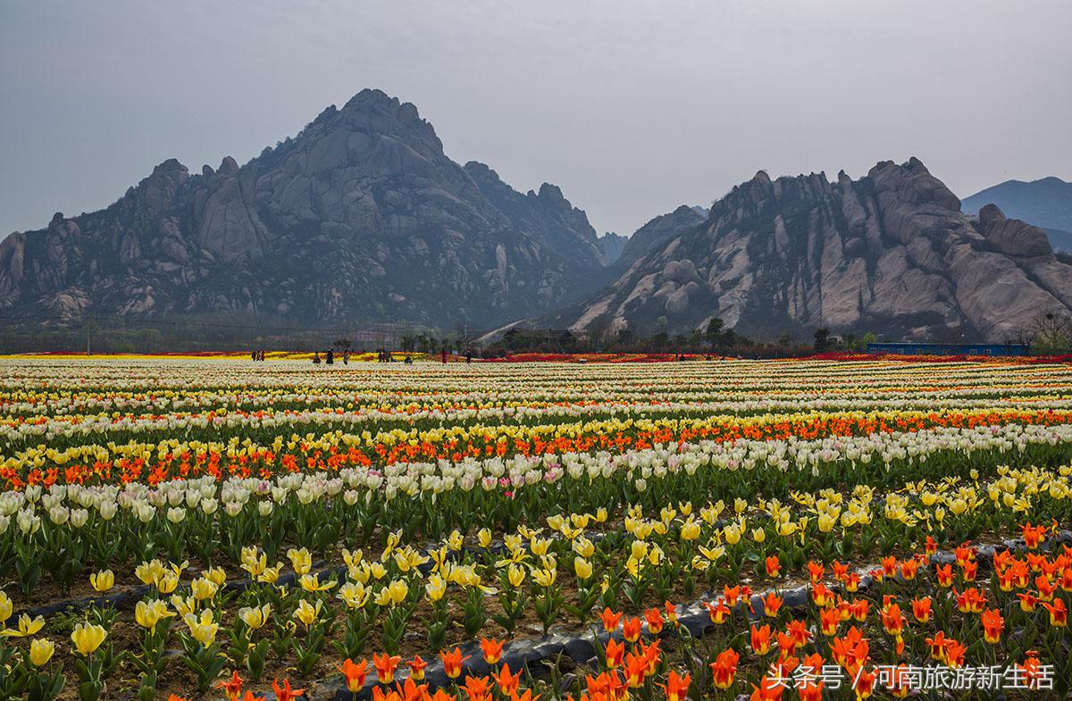 适合情侣河南旅游的地方,河南最适合情侣旅游的地方