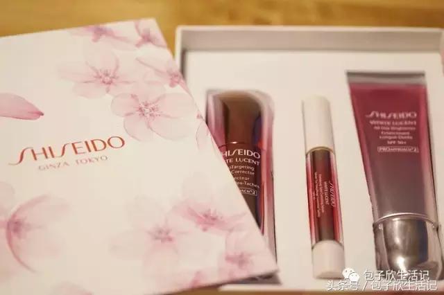 最美樱花季粉色海洋,春季哪里樱花最美最好看