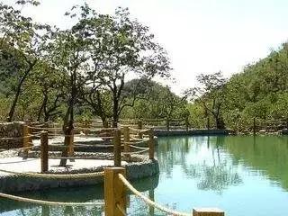 盘点北京38个森林公园,定个小目标完整版免费