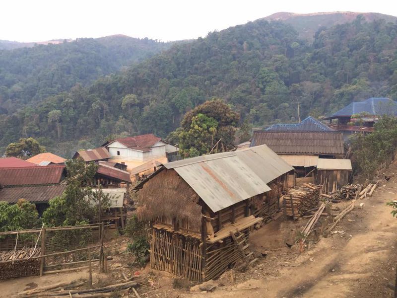 收野生土特产日记：带你去看看，老挝的原始山区！