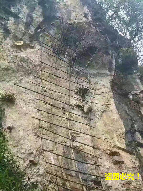 收野生土特产日记：带你去看看，老挝的原始山区！