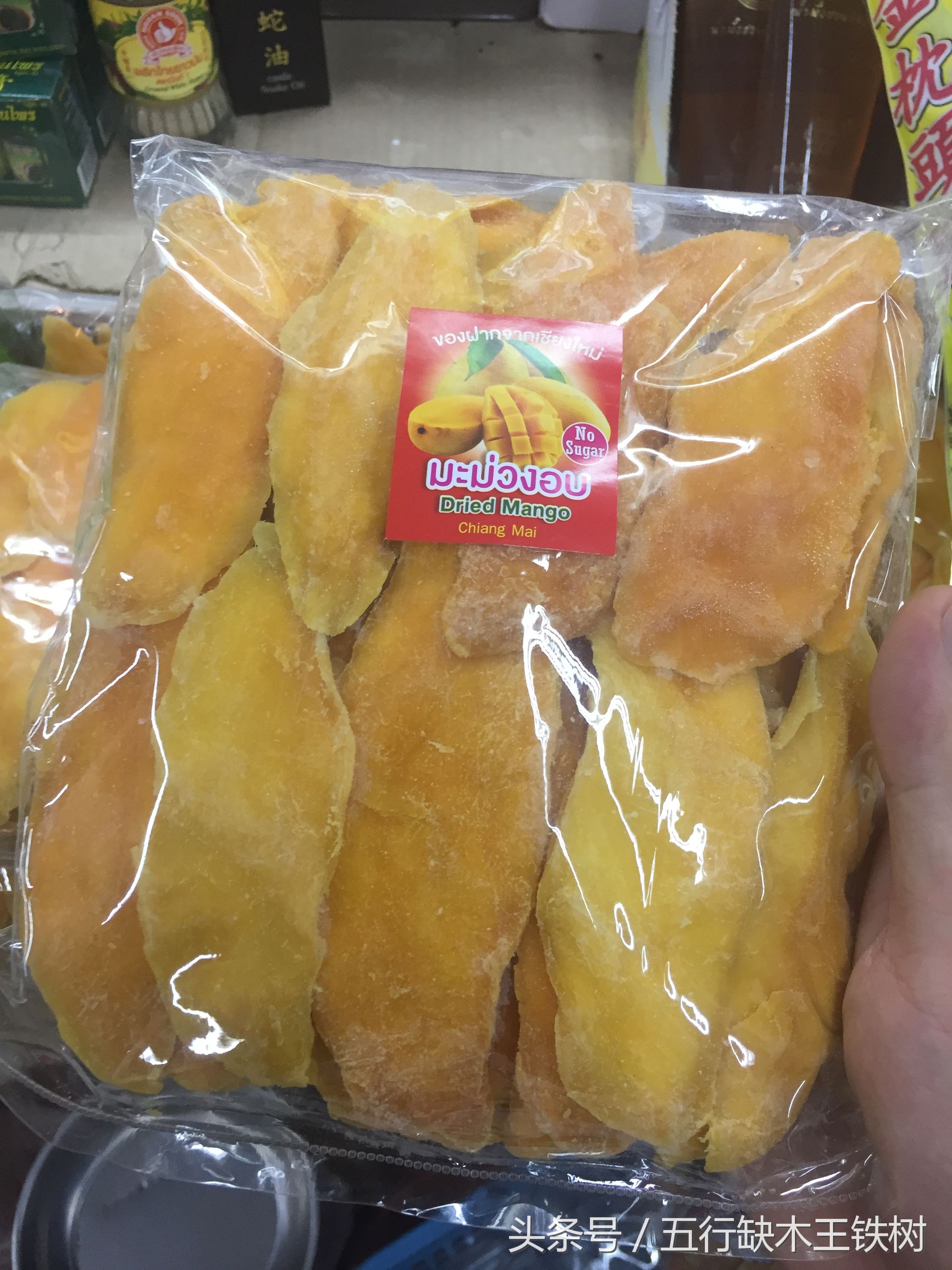 铁树在哪里可以买到,铁树在哪里买