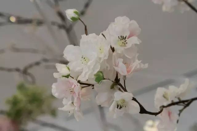 资生堂新透白美肌亮润象牙白,资生堂透白亮润系列怎么样