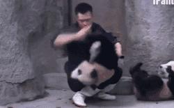 少年，像这样真的就能找到媳妇吗？我也要去买块牌子！