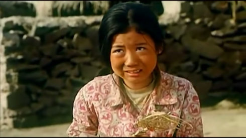 暖春感动了多少人,暖春有多感人