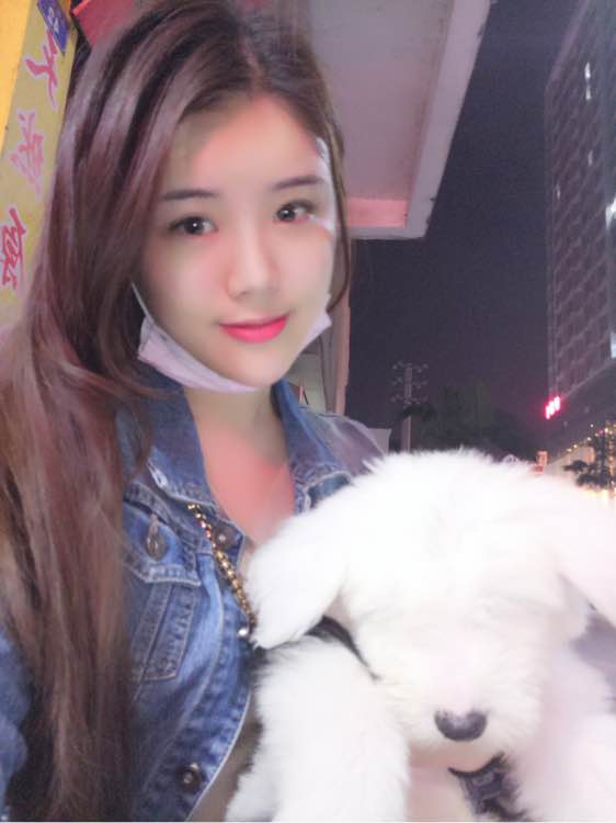 去狗市,1300元买下这只未满两月的古牧,我们的噩梦就开始了