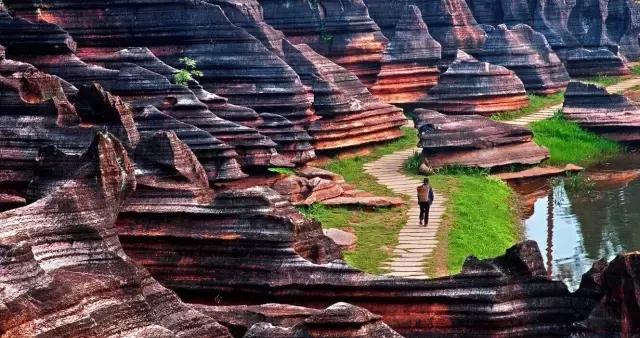 湘西土家莓茶的传说和由来简介,土家神茶茅岩莓湖南张家界