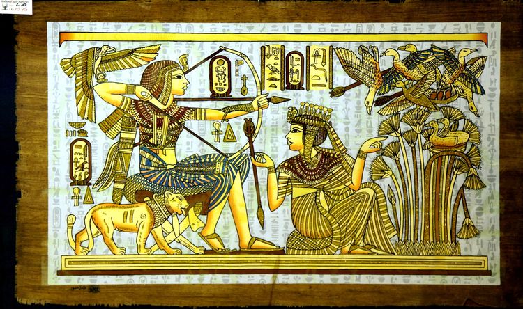 嗨哩文旅丨阿拉伯沙漠明珠、古埃及掠影