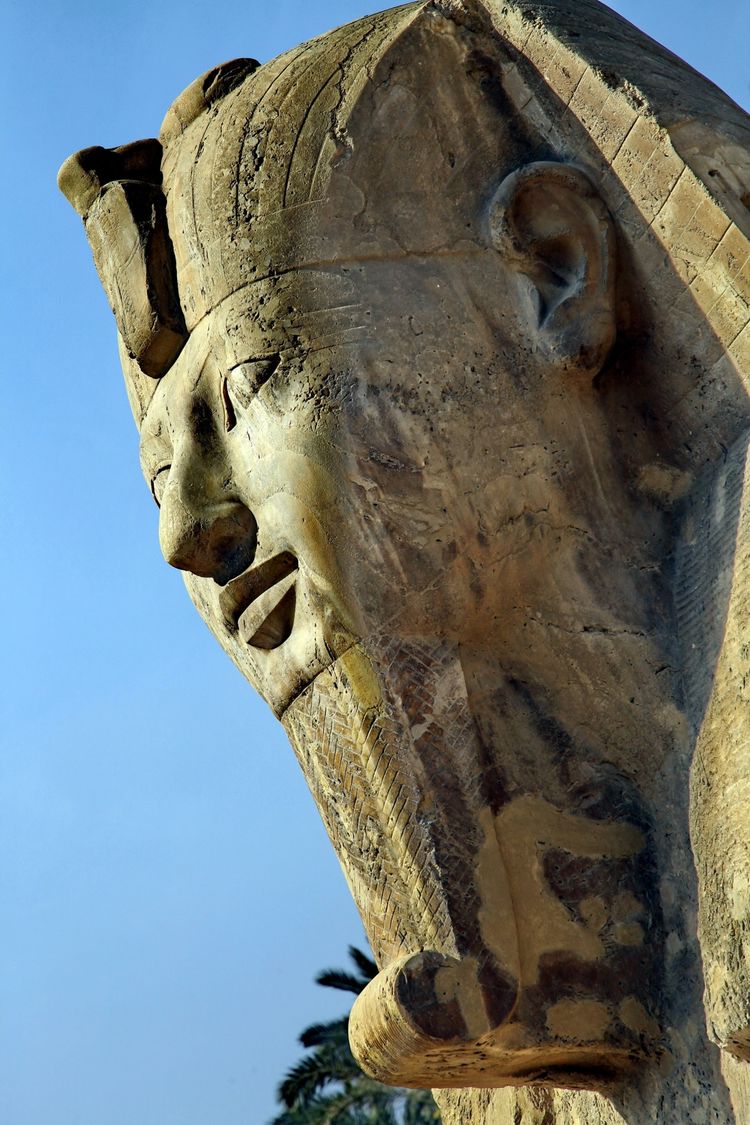 嗨哩文旅丨阿拉伯沙漠明珠、古埃及掠影