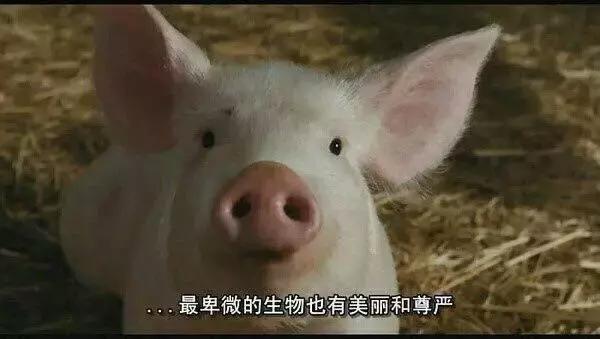 毛孔粗大容易解决问题吗,毛孔粗大会怎么样