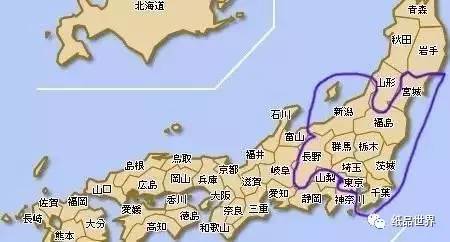 进口纸尿片最好,纸尿片国货