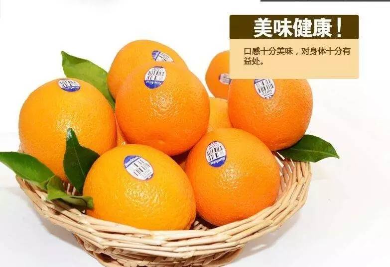 农村电商新策略有哪些内容,三农电商市场分析图