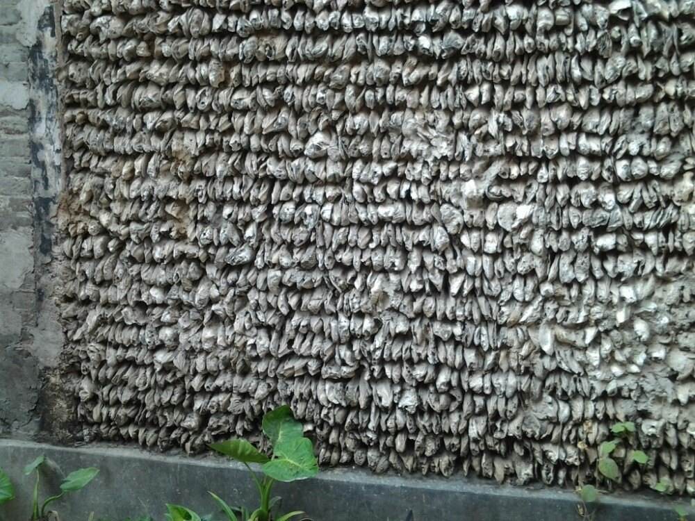 小洲村值得游的景点,小洲村吃喝玩乐攻略