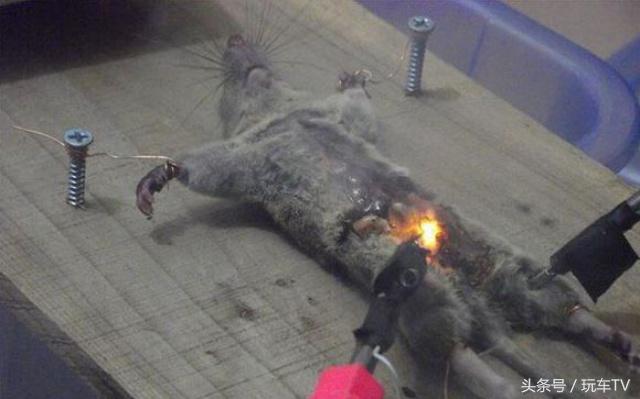 发动机大修过后还值得买吗,发动机大修二手车还保值吗