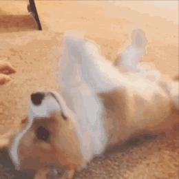 这个春天要被几件外套承包了,早春包包小众品牌