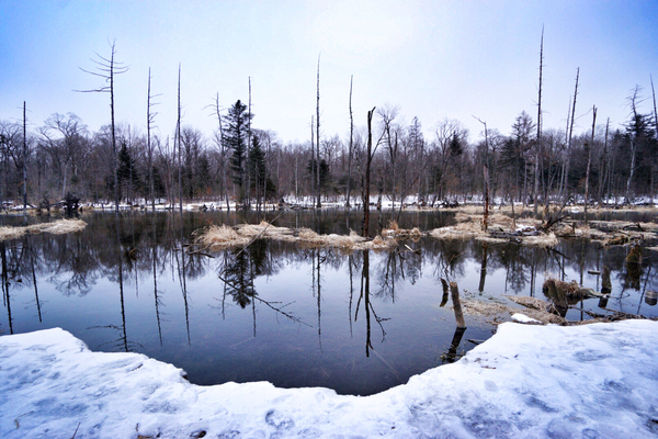 冬日的浪漫游山玩水泡温泉,又可以看雪又可以泡温泉的地方